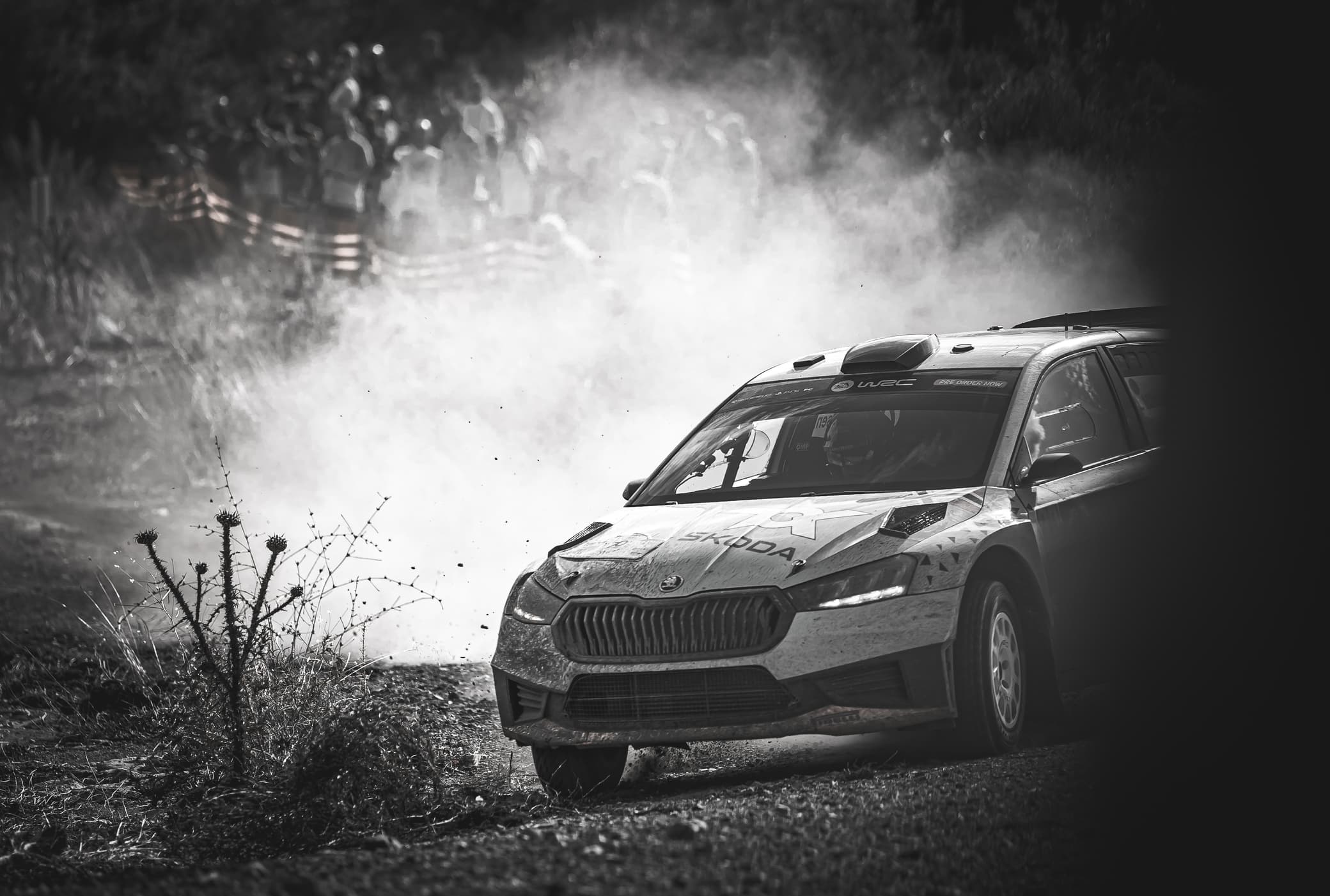 Elateia, Central Grecce | EKO Rally Acropolis 2023 - SS Elateia | Skoda Fabia R5