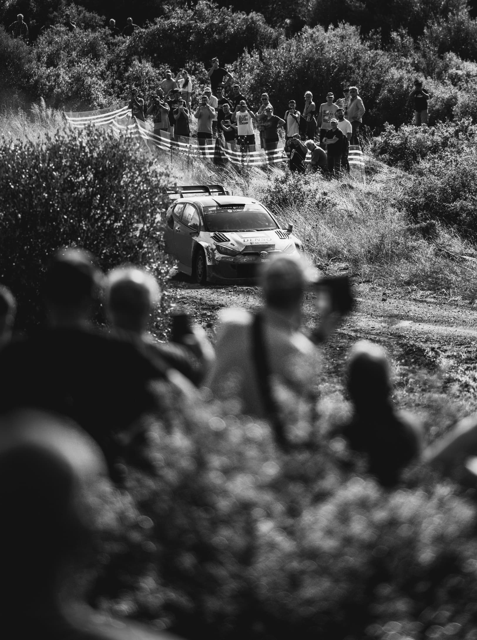 Elateia, Central Grecce | EKO Rally Acropolis 2023 - SS Elateia | Yaris WRC